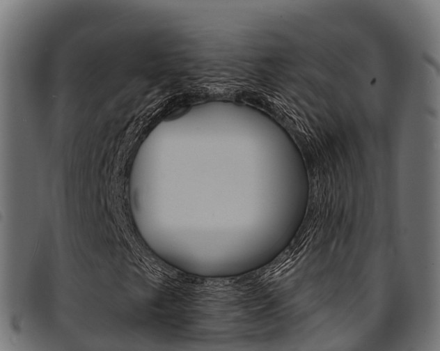 X0000094961249200711291120