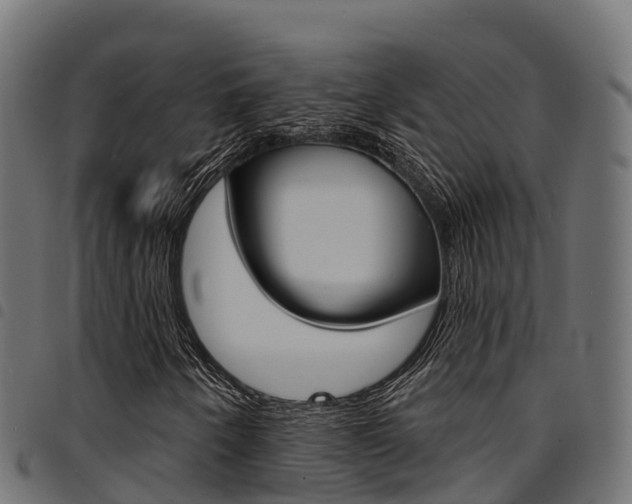 X0000094961250200711291120