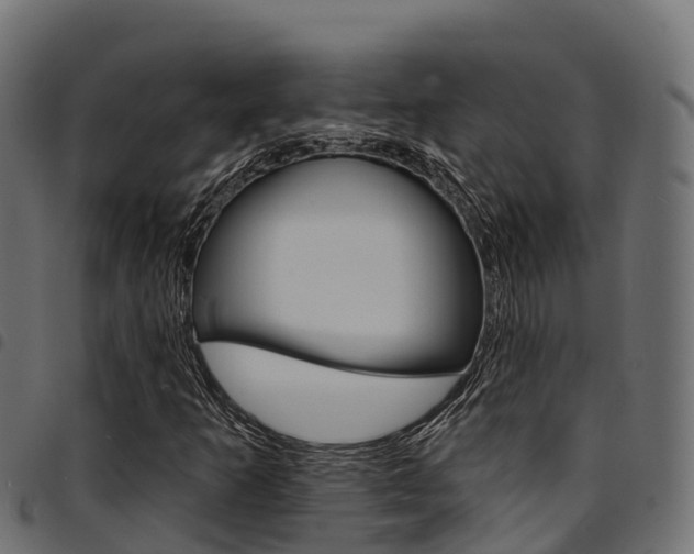 X0000094961253200711291120
