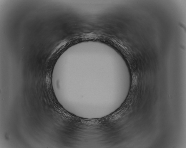 X0000094961254200711291120