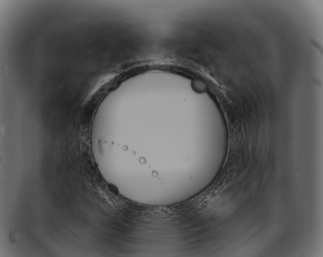 X0000094961255200711291120