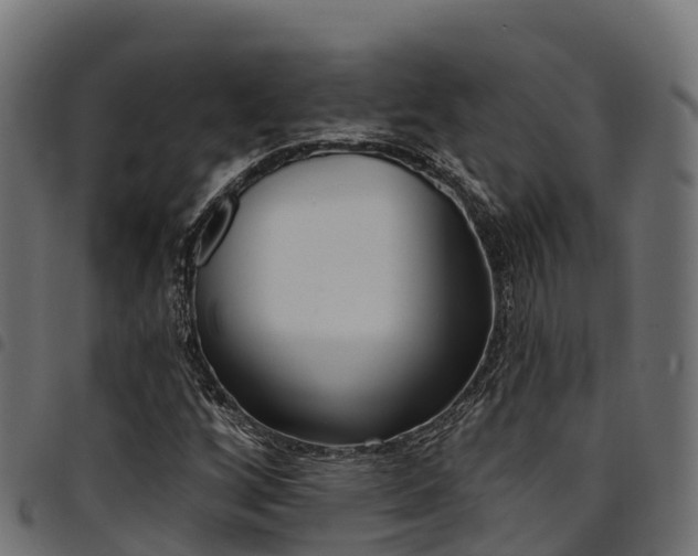 X0000094961256200711291120