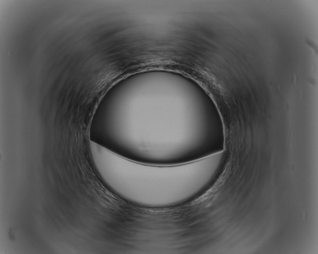 X0000094961257200711291120