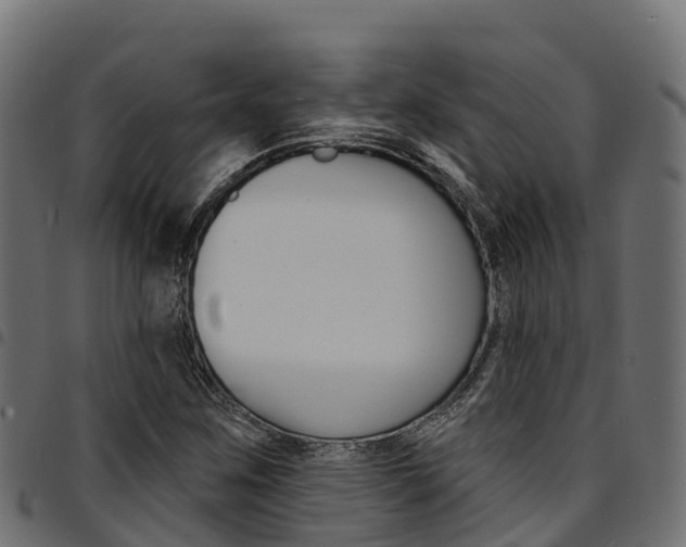 X0000094961259200711291120