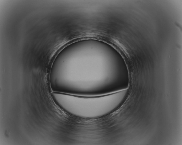X0000094961260200711291119
