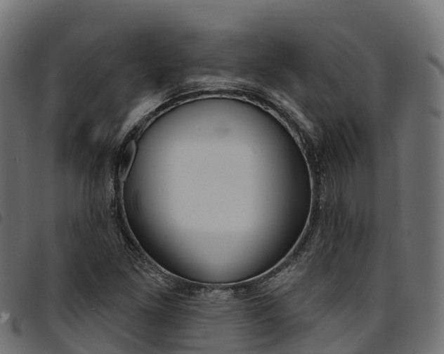 X0000094961261200711291119