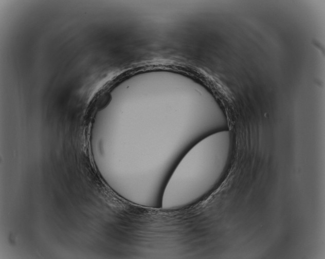 X0000094961262200711291119