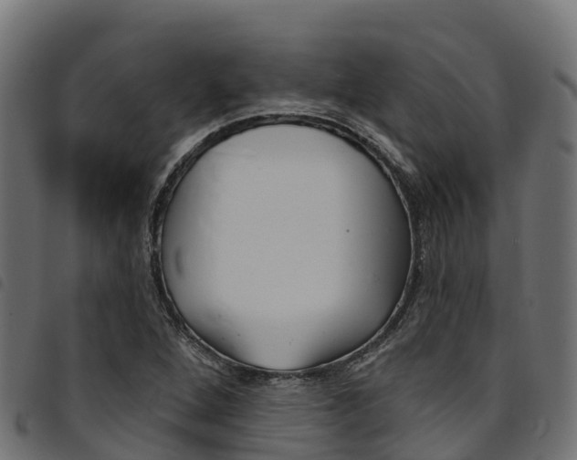 X0000094961264200711291119