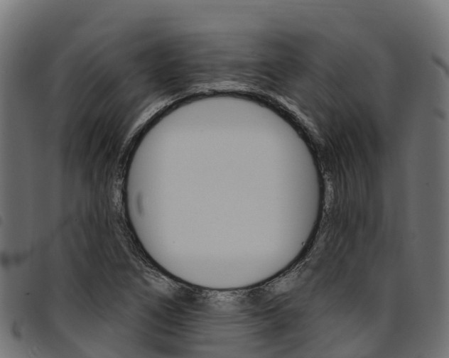 X0000094961266200711291119