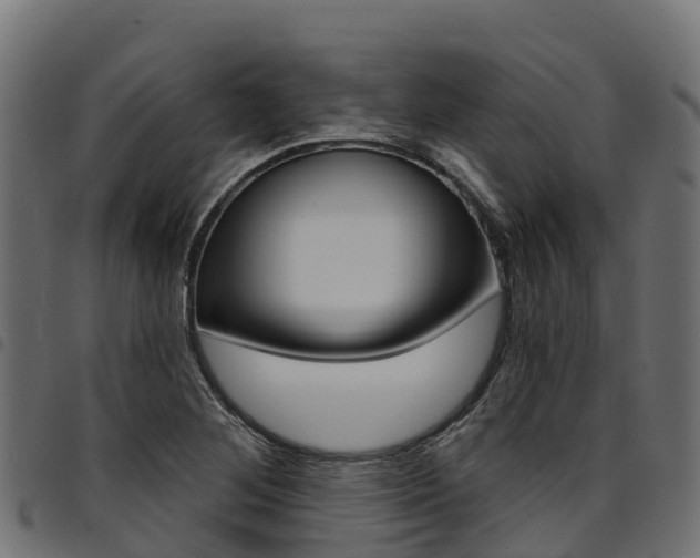 X0000094961268200711291119