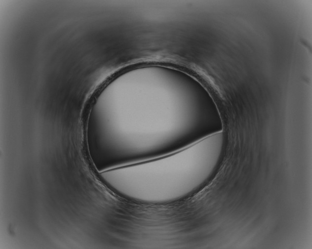 X0000094961270200711291119