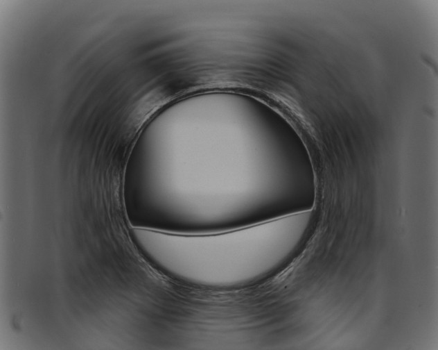 X0000094961273200711291119