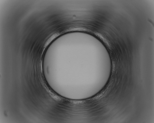 X0000094961274200711291119