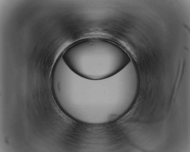 X0000094961275200711291119