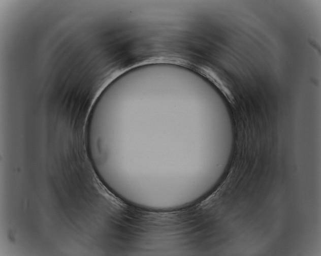 X0000094961276200711291119