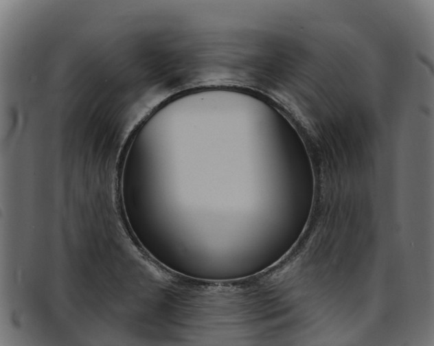 X0000094961277200711291119