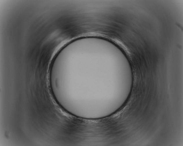 X0000094961278200711291119