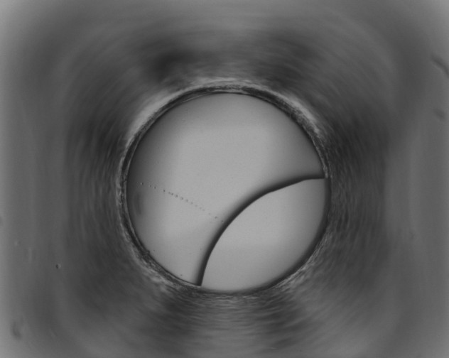 X0000094961279200711291119
