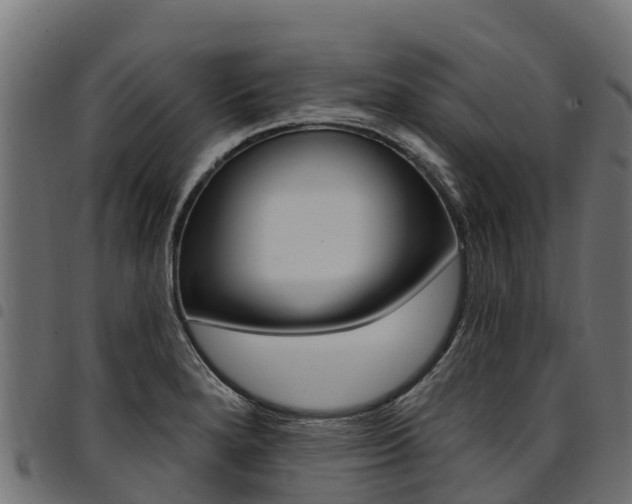 X0000094961280200711291119