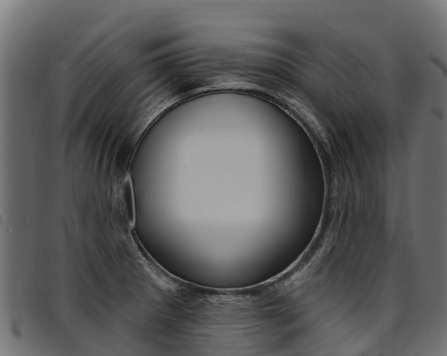 X0000094961281200711291119