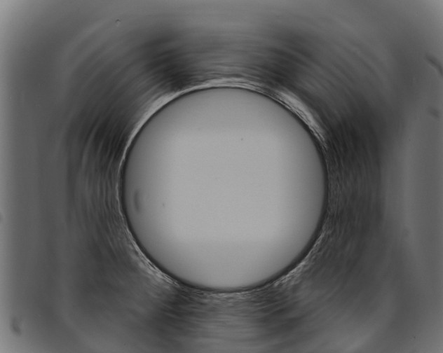 X0000094961284200711291119