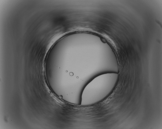 X0000094961287200711291119