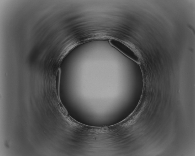 X0000094961289200711291119