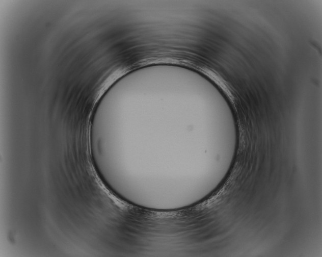 X0000094961290200711291119