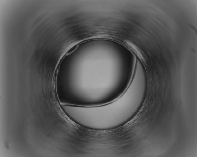 X0000094961292200711291119