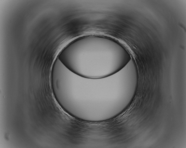 X0000094961295200711291119