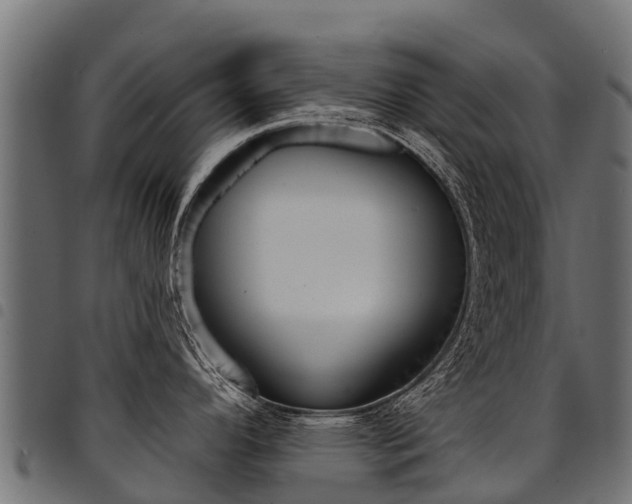 X0000094961296200711291119