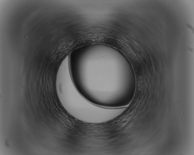 X0000094961298200711291118