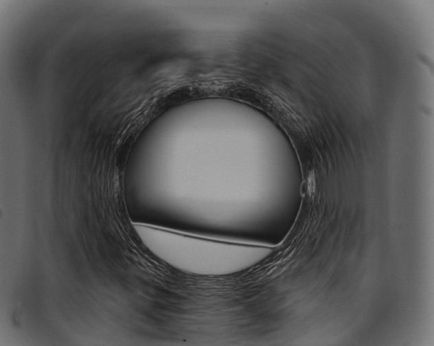 X0000094961299200711291118