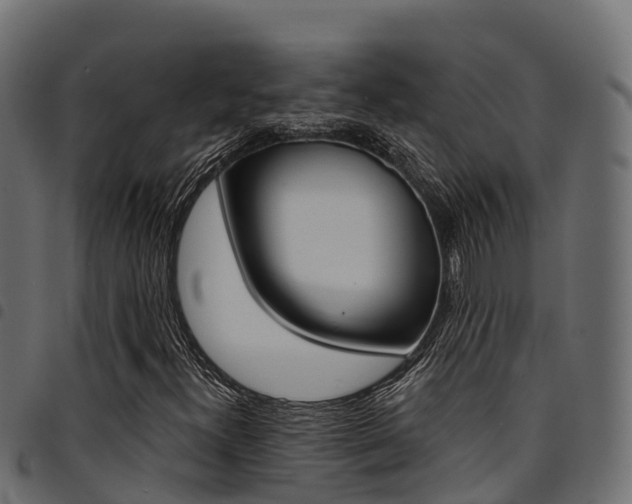 X0000094961300200711291118