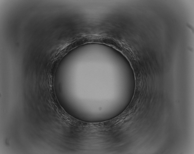X0000094961301200711291118
