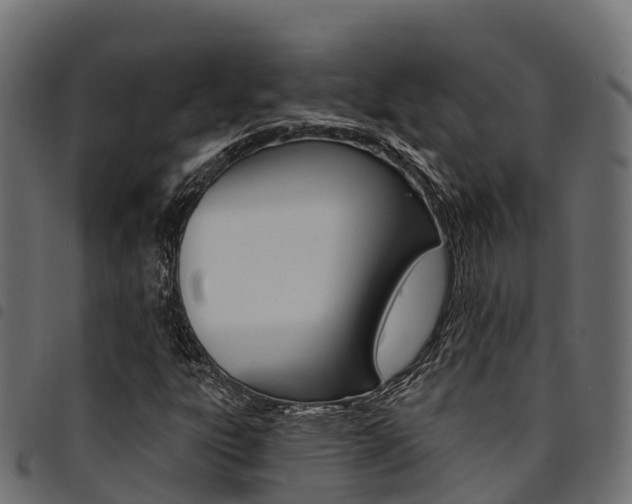 X0000094961303200711291118