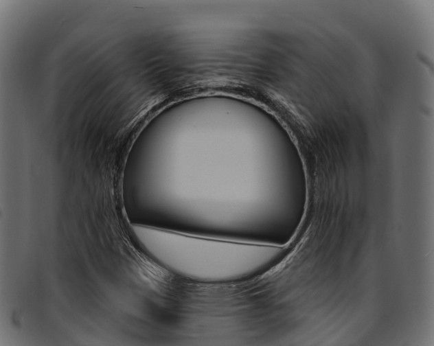 X0000094961305200711291118