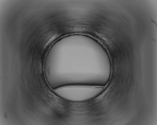 X0000094961306200711291118