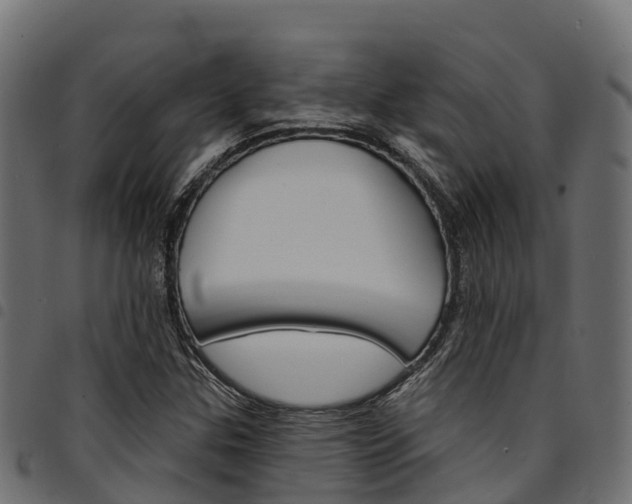 X0000094961307200711291118