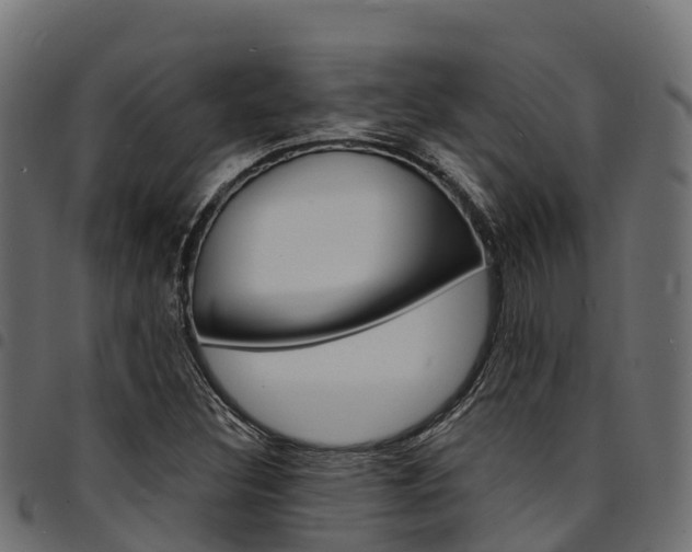 X0000094961308200711291119