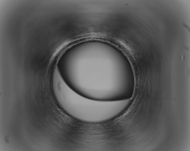X0000094961310200711291119