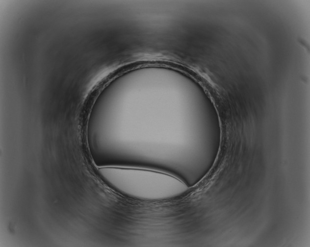 X0000094961311200711291119