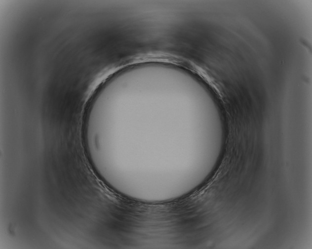 X0000094961312200711291119