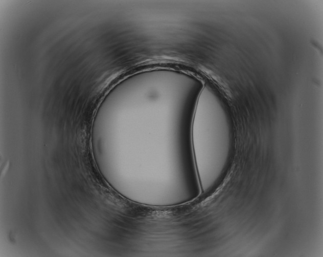 X0000094961313200711291119
