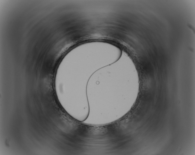 X0000094961314200711291119