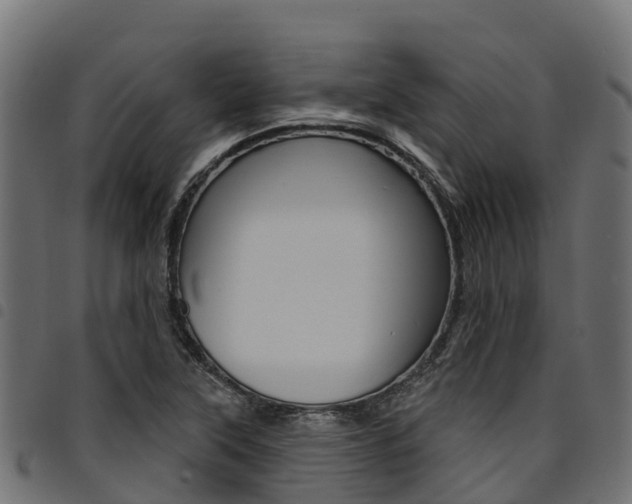 X0000094961315200711291119