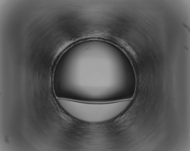 X0000094961316200711291119