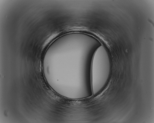 X0000094961317200711291119