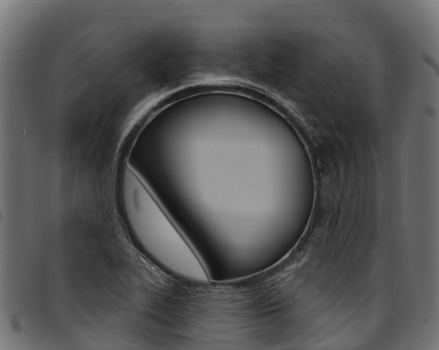 X0000094961319200711291119