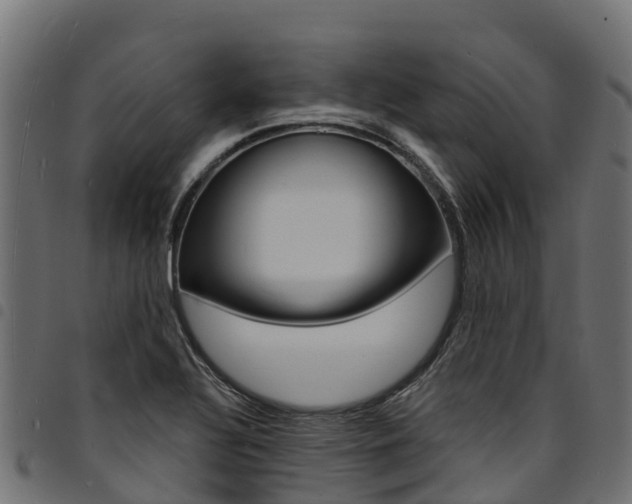 X0000094961320200711291119